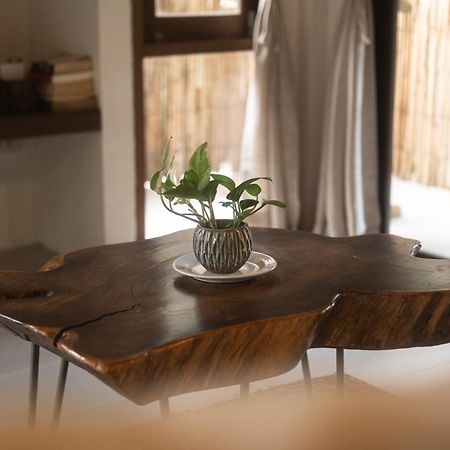 Big Tree Boutique Hotel كو تاو المظهر الخارجي الصورة