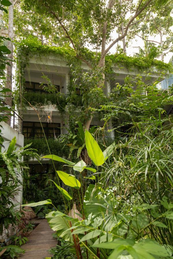 Big Tree Boutique Hotel كو تاو المظهر الخارجي الصورة