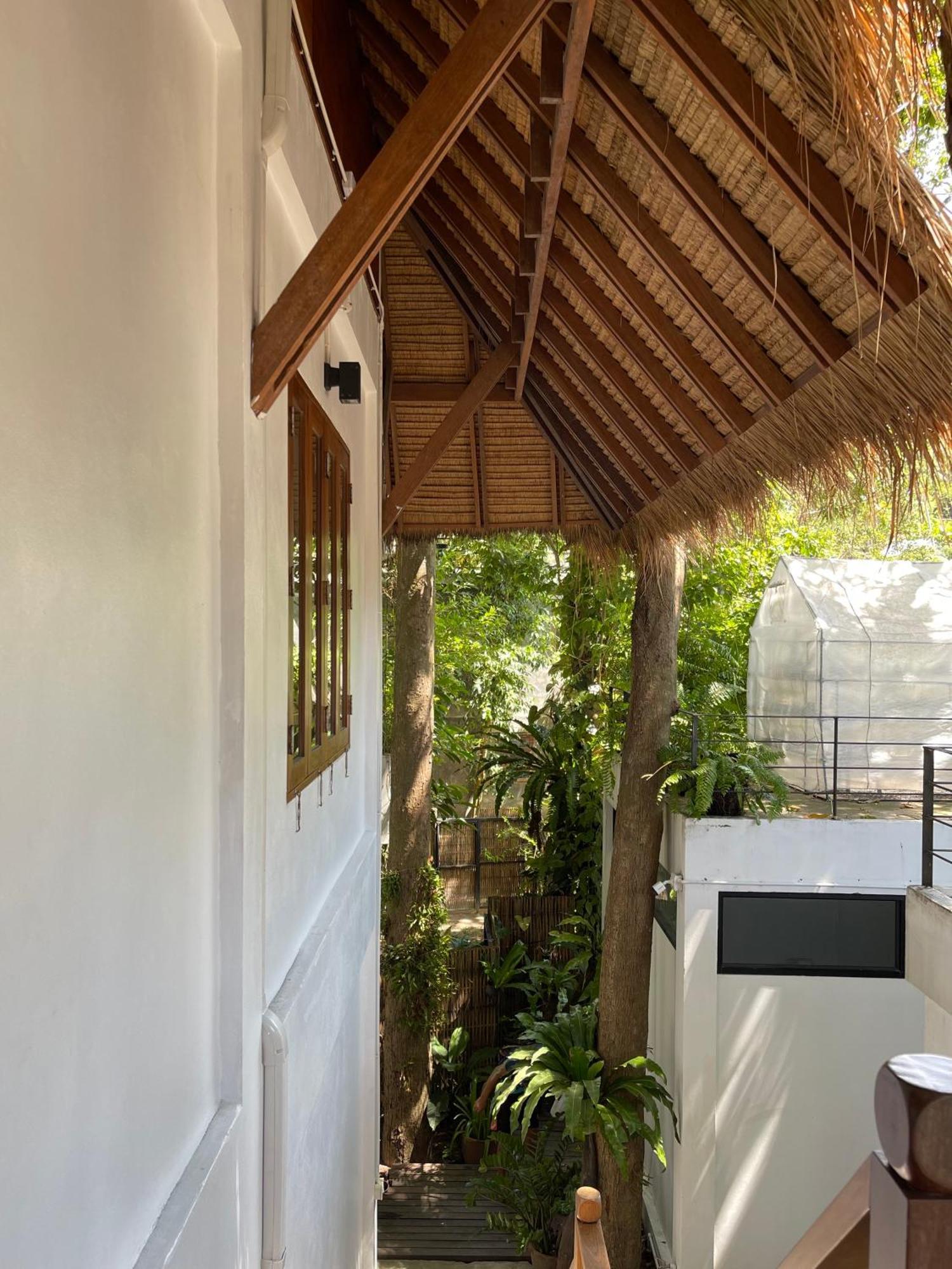 Big Tree Boutique Hotel كو تاو المظهر الخارجي الصورة