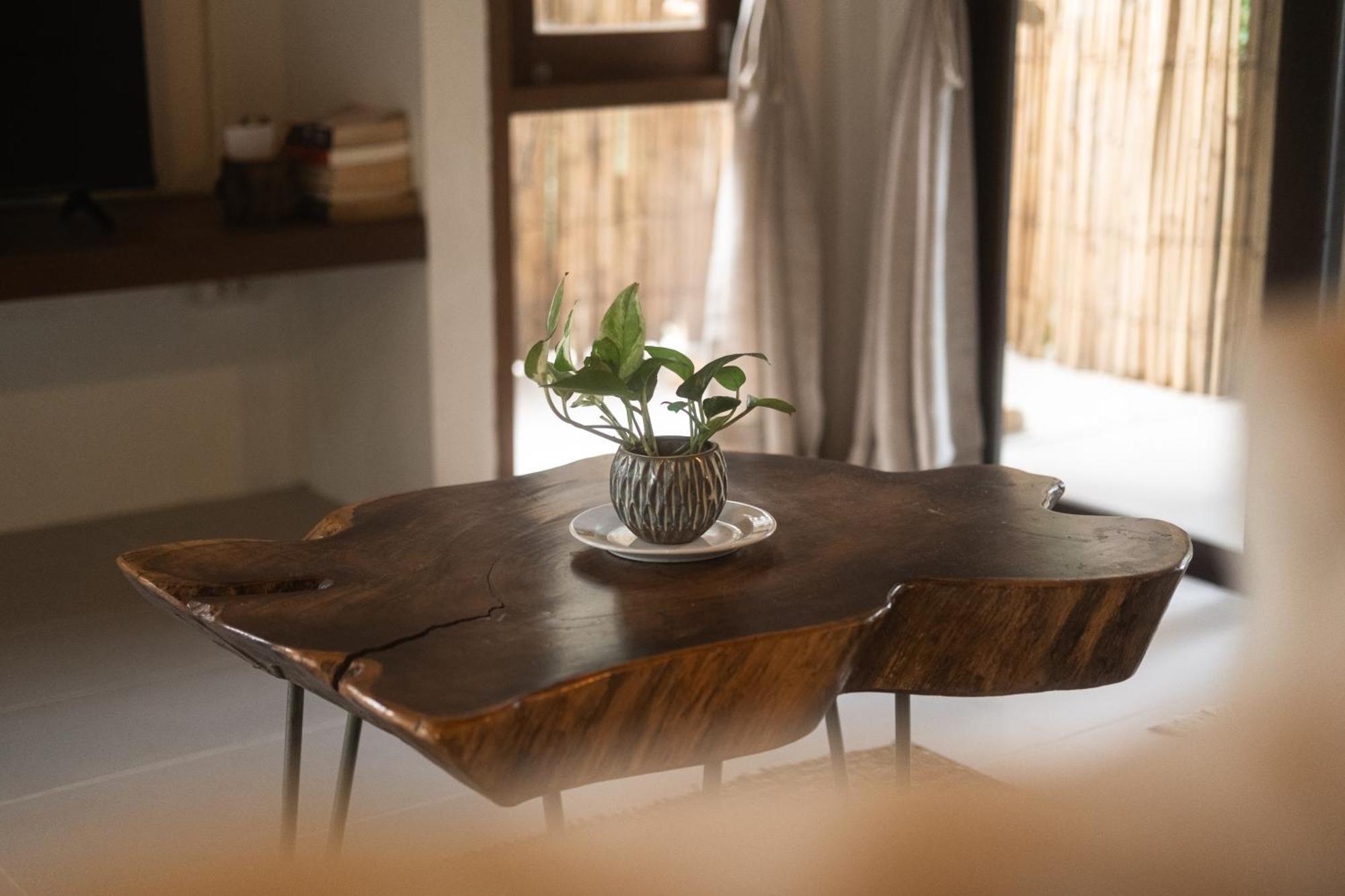 Big Tree Boutique Hotel كو تاو المظهر الخارجي الصورة